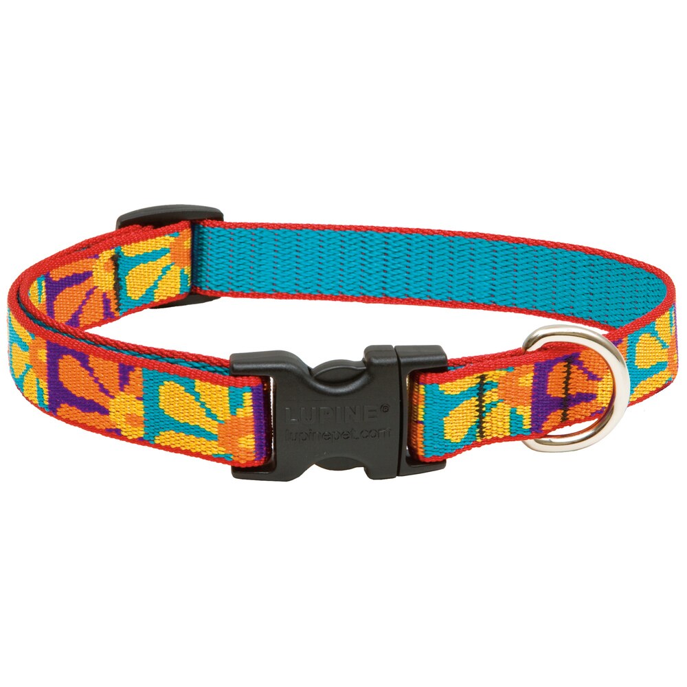 lupine dog collars and leads uk
