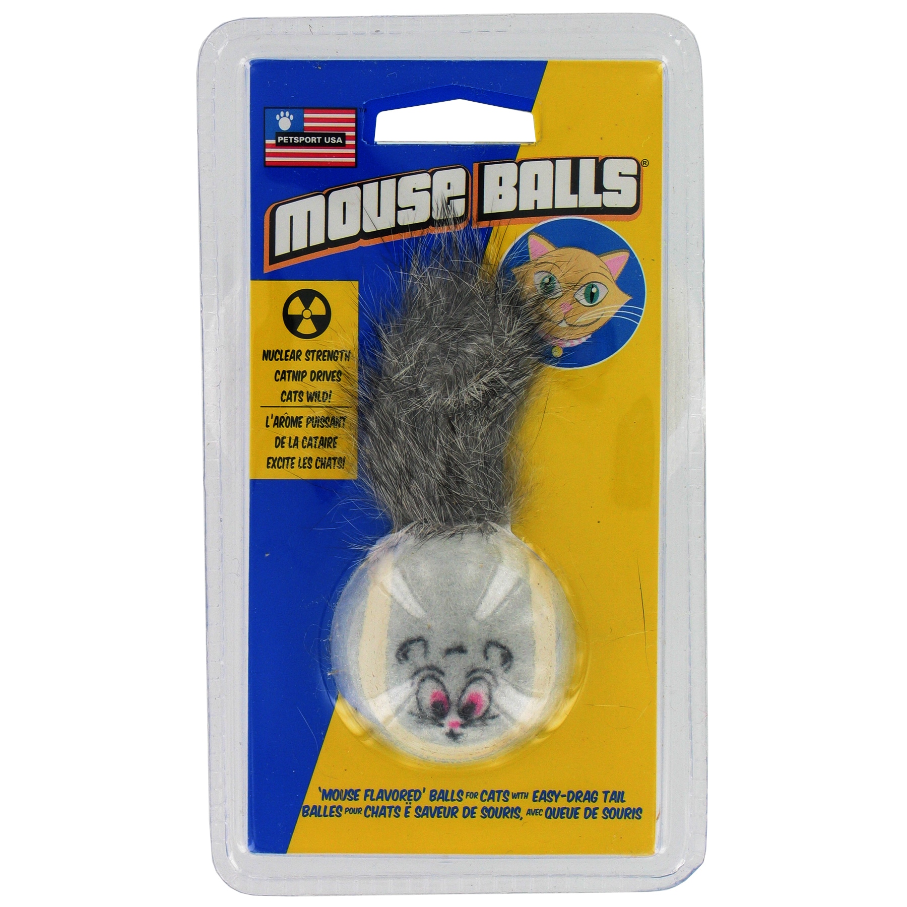 baby poodles for adoption