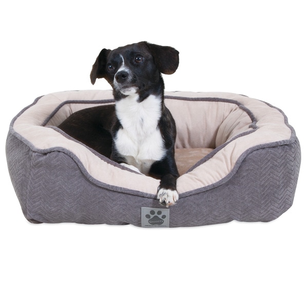 Precision pet shop daydreamer pet bed