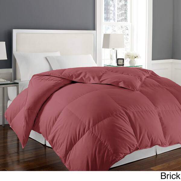Shop Hotel Grand Naples 700 Thread Count Medium Warmth Down