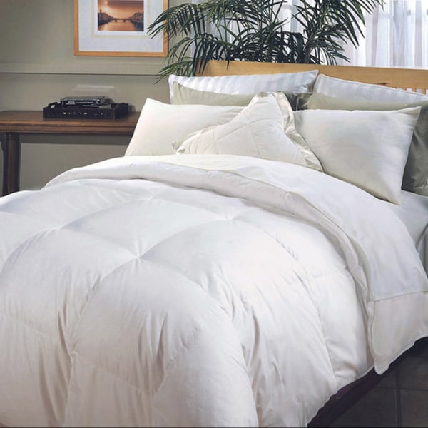 All Cotton Supreme Natural Down Fiber Blend Comforter - On Sale - Bed Bath  & Beyond - 891497