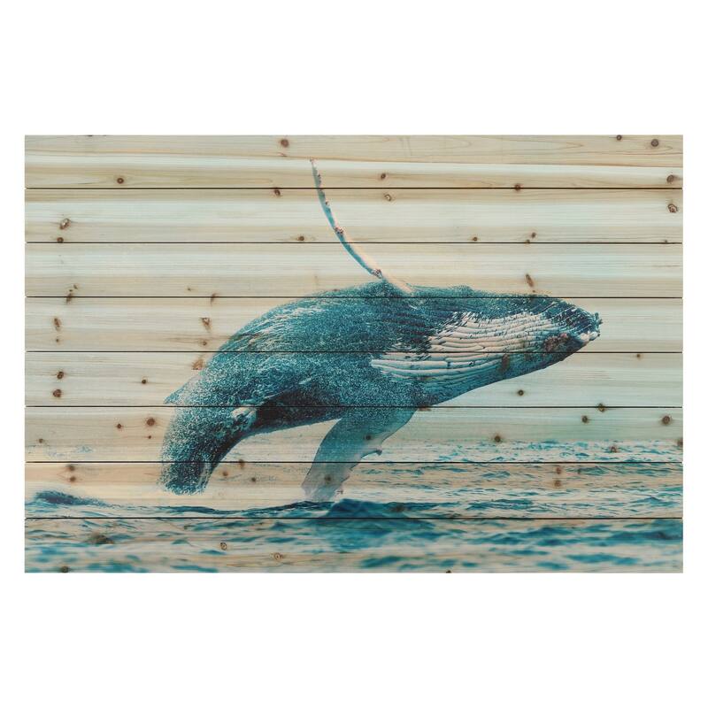 Whale