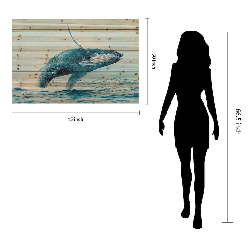 Whale