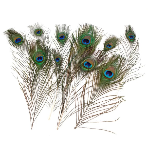 Real 10-12 Inch Natural Tail Eyes Peacock Feathers (Pack of 100)
