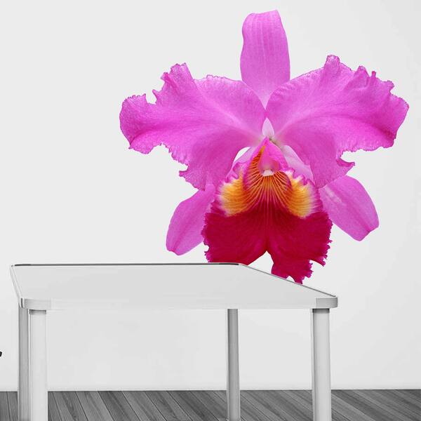 Shop Full Color Orchid Flower Full Color Wall Decal Sticker Sticker Decal Size 22x22 Frst Free Shipping Today Overstock 14993032