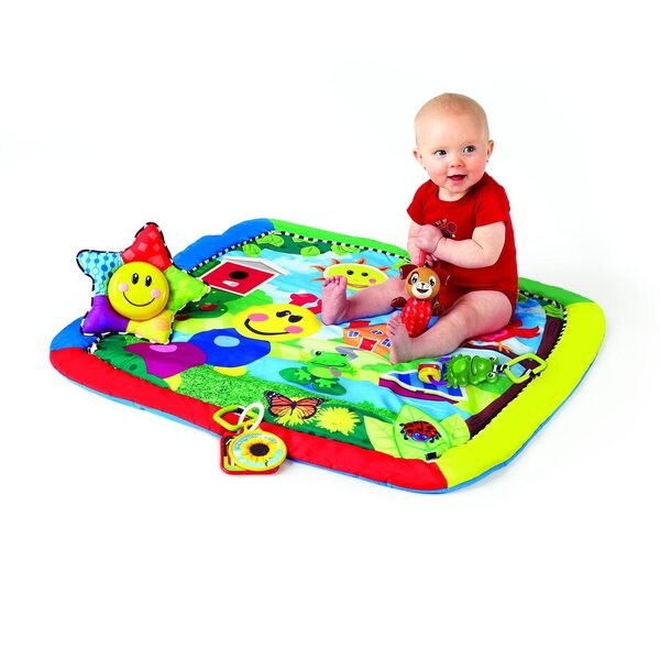 baby einstein caterpillar & friends play gym