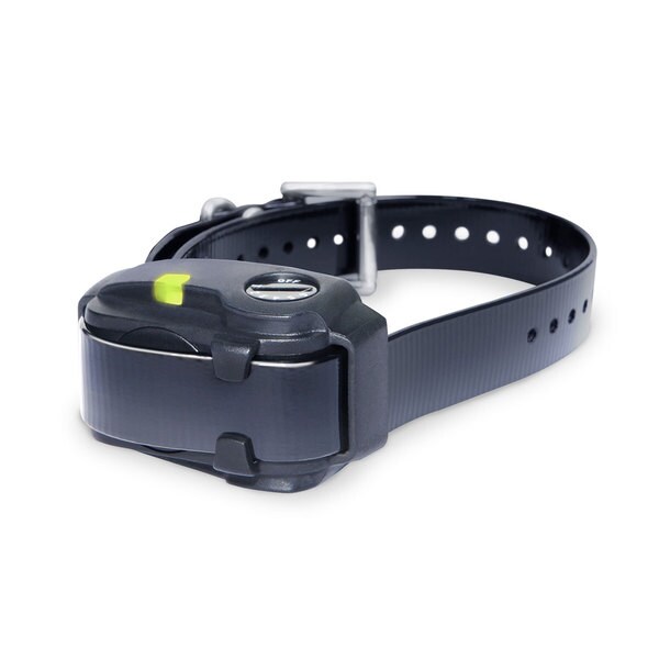 barking dog collars for small dogs barking dog collars for small dogs