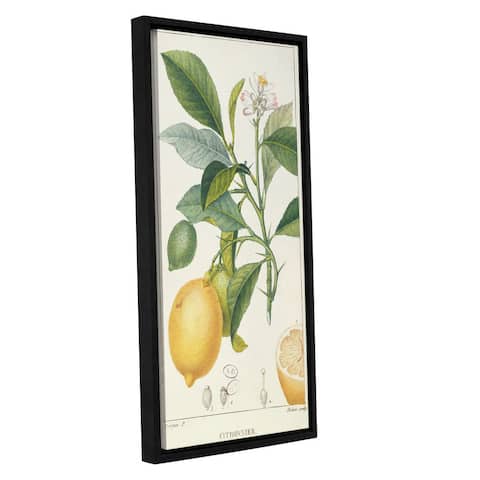 Pierre Jean Francois Pturpin's 'The Lemon Tree' Gallery Wrapped Floater-framed Canvas - multi
