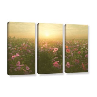 Scott Medwetz's 'Heavens Field' 3 Piece Gallery Wrapped Canvas Set ...