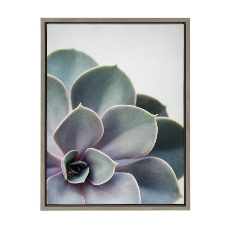 Sylvie Succulent Gold Framed Canvas Wall Art by F2 Images - 18x24 - Plastic - Grey