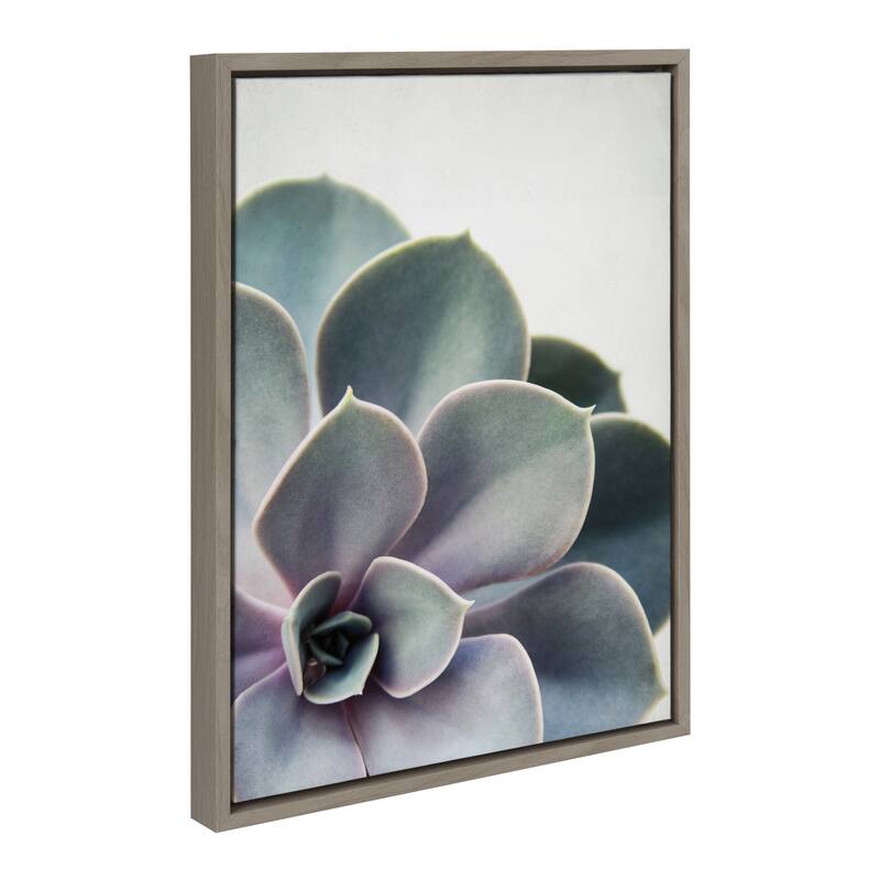 Sylvie Succulent Gold Framed Canvas Wall Art by F2 Images