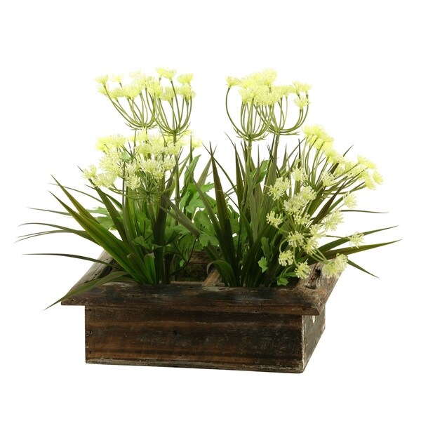 Shop D&amp;W Silks Queen Anne-footS Lace and Grass in Square    