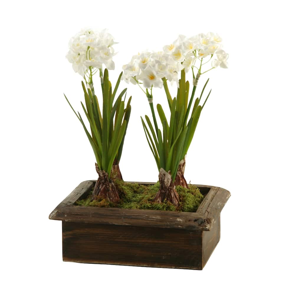 D&W Silks Paperwhites in Rectangle Wood Planter Box - White