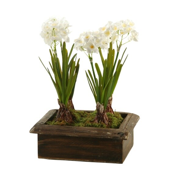 D&W Silks Paperwhites in Rectangle Wood Planter Box