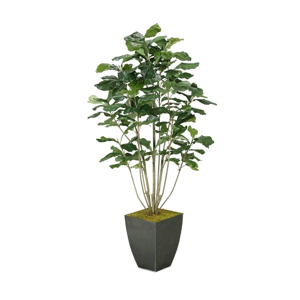 D&W Silks Fiddle Leaf Fig Plant in Square Metal Planter