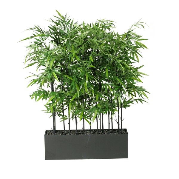 D&amp;W Silks Black Bamboo Screen in Rectangle Planter