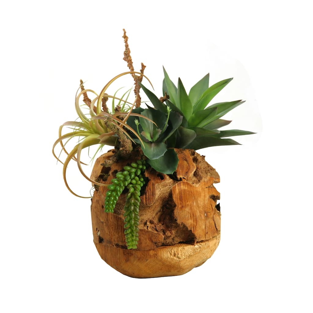 D&W Silks Air Tilandsia, Agave Plant and Wild Succulent in Wooden Root Ball - Green