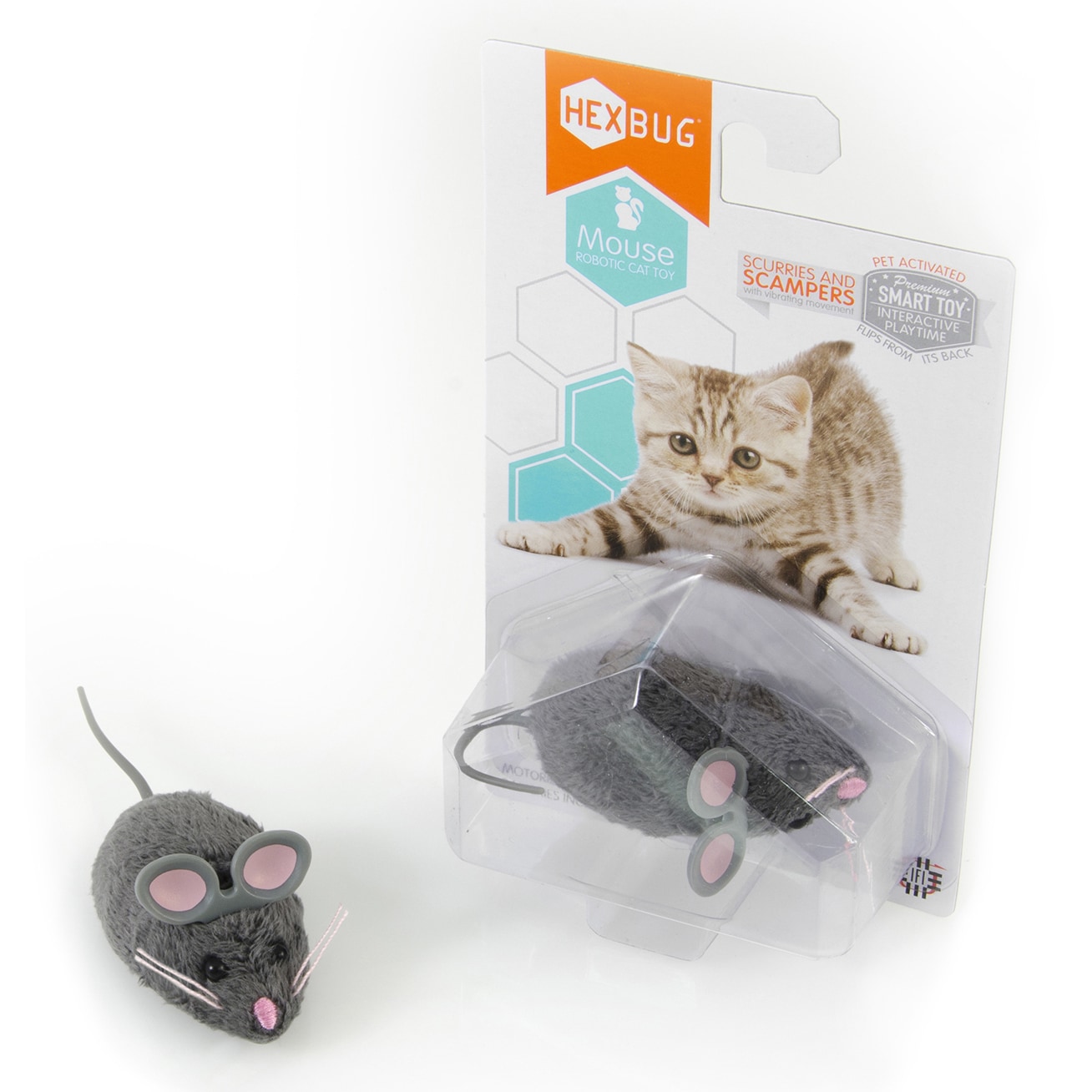 bug toy for cats