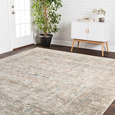 Alexander Home Genova Granite Border Distressed Rug