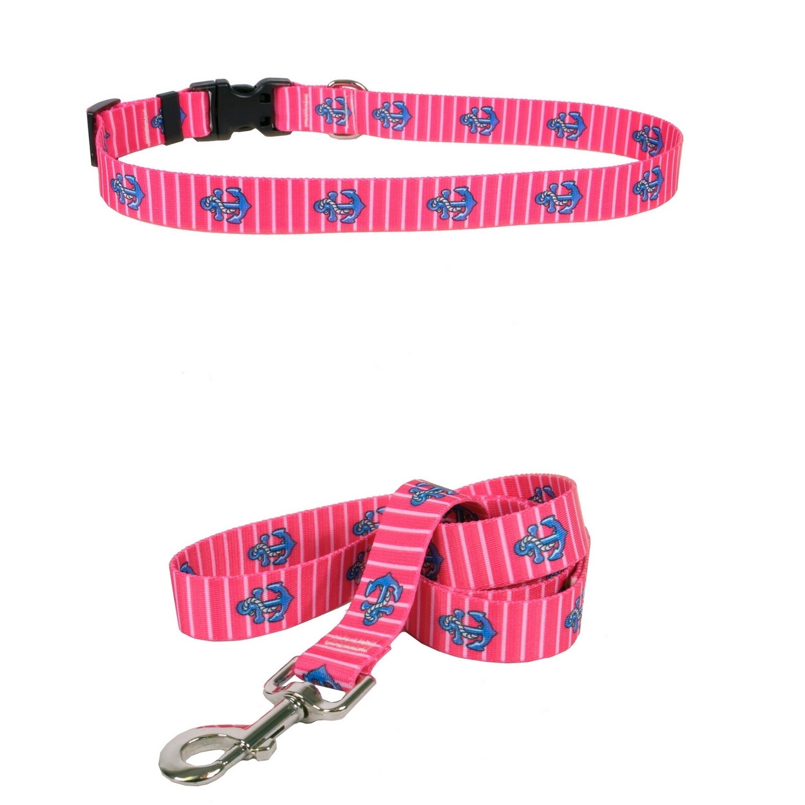 pink collar and lead
