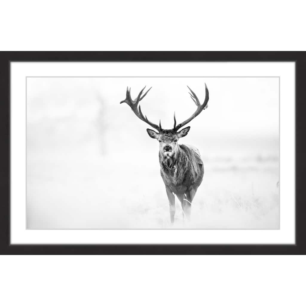 Elk Stare' Framed Painting Print