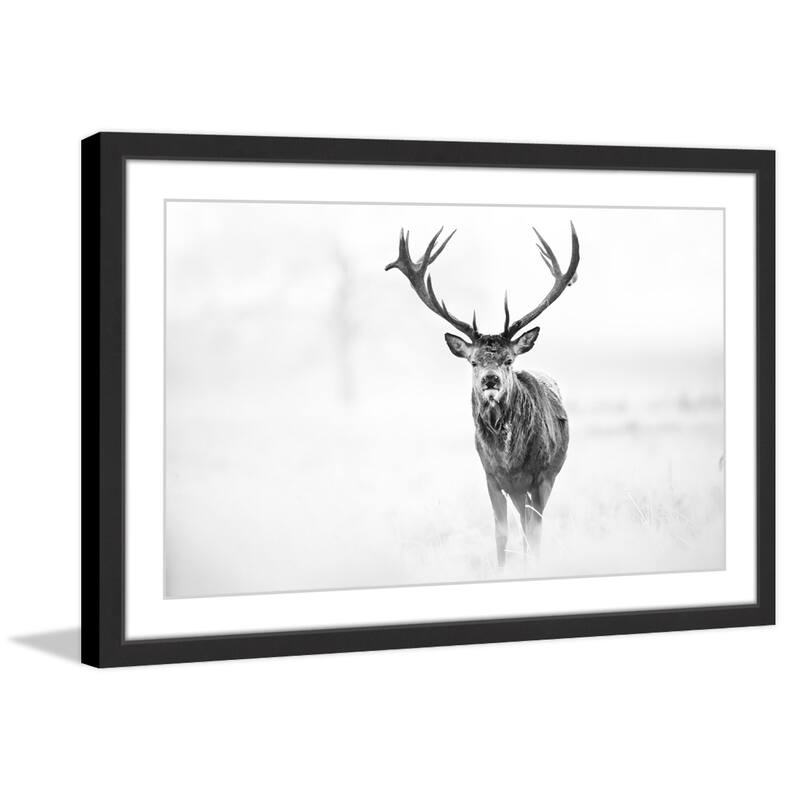 Elk Stare' Framed Painting Print