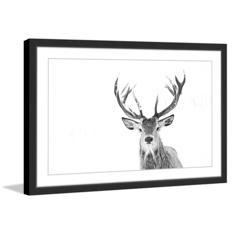 Majestic Antlers' Framed Painting Print