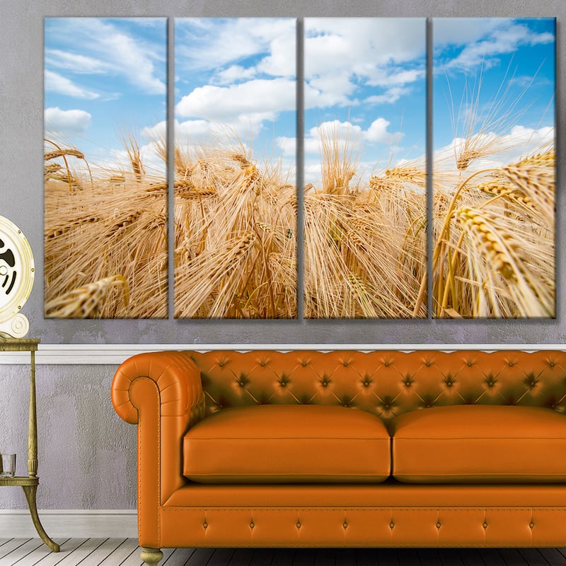 Designart "Barley Field under Blue Sky" Landscape Wall Artwork Print on