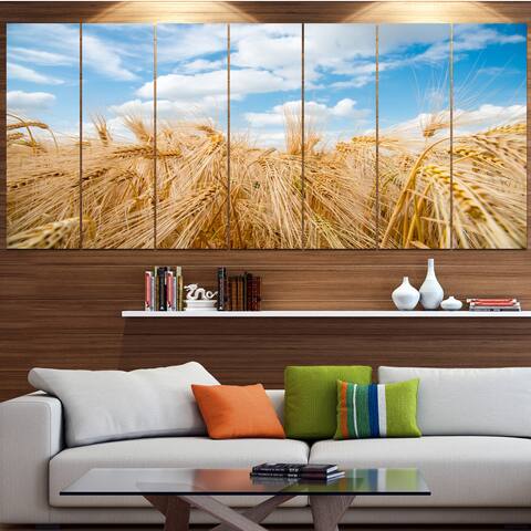 Designart "Barley Field under Blue Sky" Landscape Wall Artwork Print on Canvas