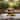 Designart "Evening in Green Forest" Landscape Wall Artwork Print on Canvas