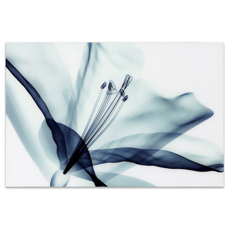 Amaryllis Flower Wall Art Printed on Free Floating Tempered Glass