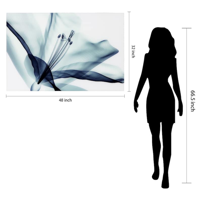 Amaryllis Flower Wall Art Printed on Free Floating Tempered Glass