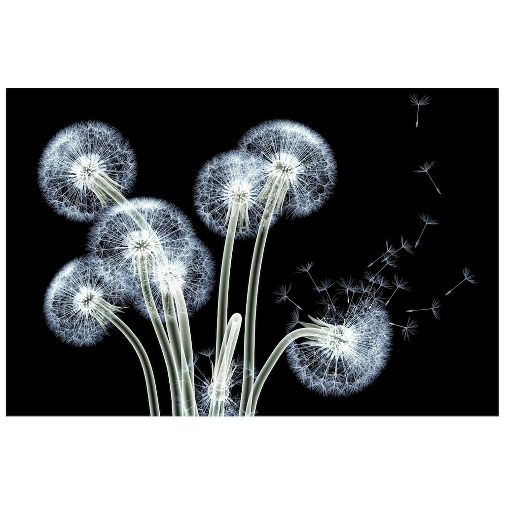 "Dancing Dandelions" Wall Art Printed on Tempered Glass
