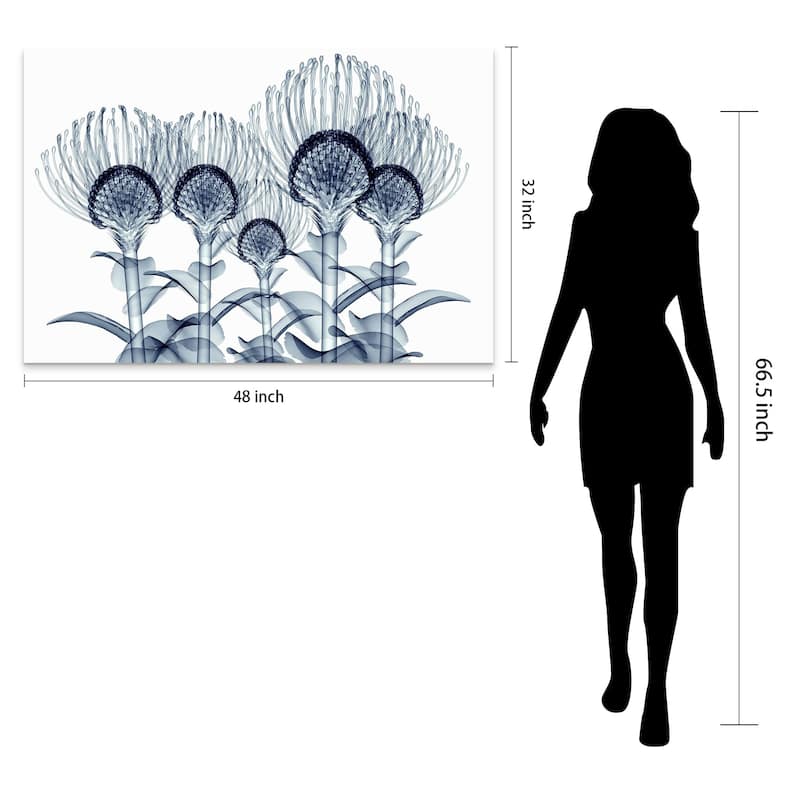 "Nodding Pincushions" Frameless Free Floating Tempered Glass Panel Graphic Wall Art