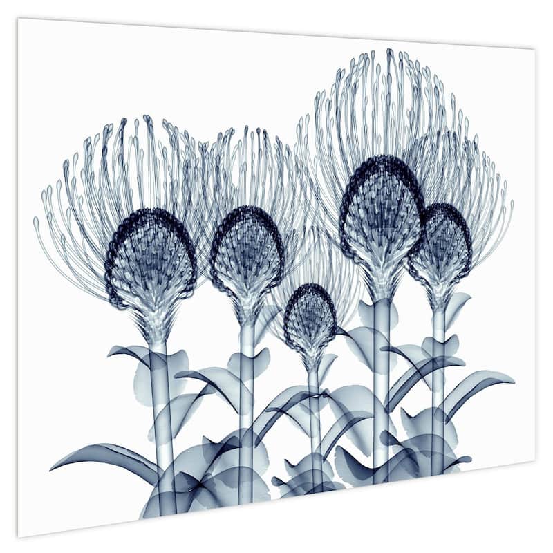 "Nodding Pincushions" Frameless Free Floating Tempered Glass Panel Graphic Wall Art