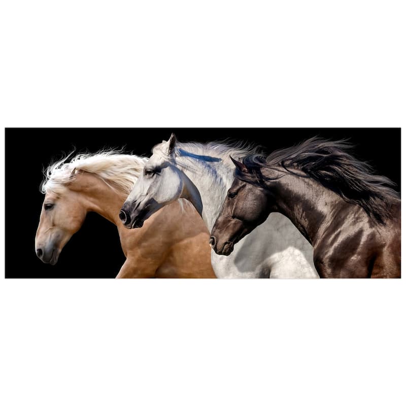 Horses Wall Art on Frameless Free Floating Tempered Glass