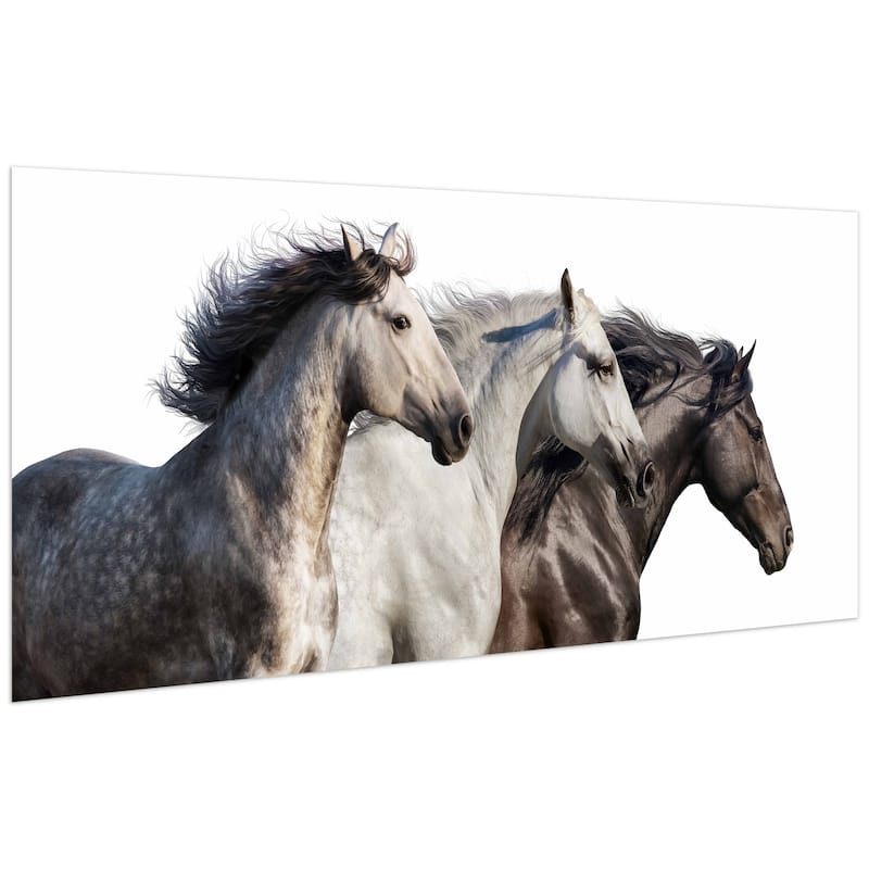 "Trilogy 1" Horse Wall Art Frameless Free Floating Tempered Glass Panel