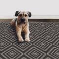 Pet Friendly Rugs