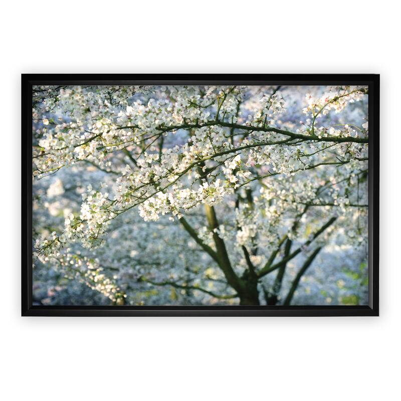 In All Your Glory - Black Frame