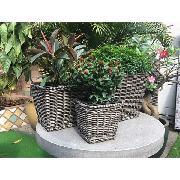 Shop Square Resin Neutral Grey Wicker Planters (Set of 3 ...