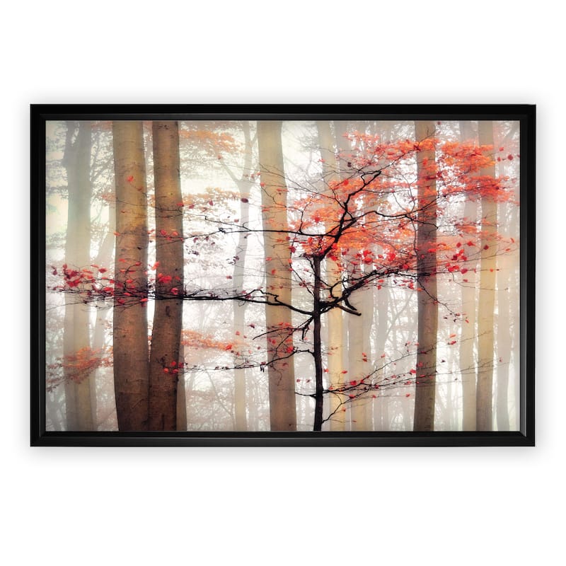 Orange Awakening - Black Frame