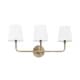 preview thumbnail 1 of 0, Dawson 3-light Aged Brass Bath/Vanity Fixture