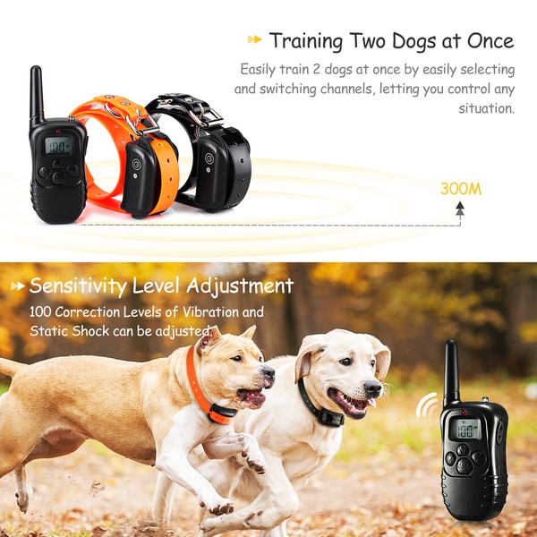 rechargeable dog collar light