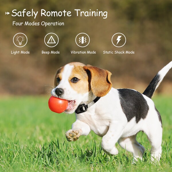 dog operation collar