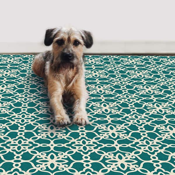 Washable Pet Rug