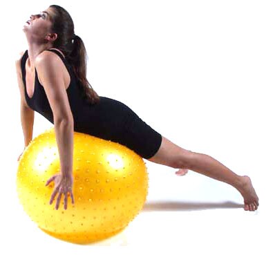 Stamina Shiatsu Body Ball Bed Bath Beyond 1556755