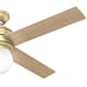 preview thumbnail 11 of 14, Hunter 52" Hepburn Ceiling Fan with LED Light Kit and Wall Control - Vintage, Mid-Century Modern, Transitional