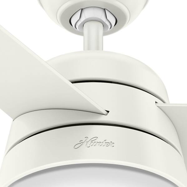 Shop Hunter Fan Aker Fresh White 36 Inch Ceiling Fan With 3