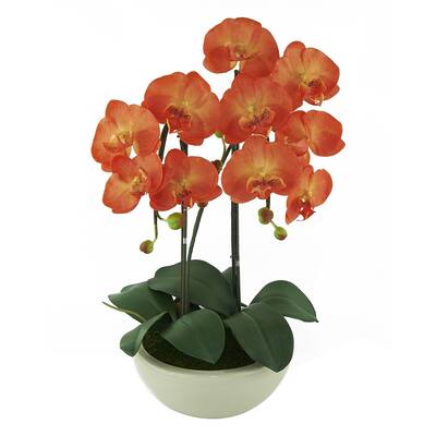 Red Vanilla Orange Phalaenopsis Centerpiece in White Base - N/A