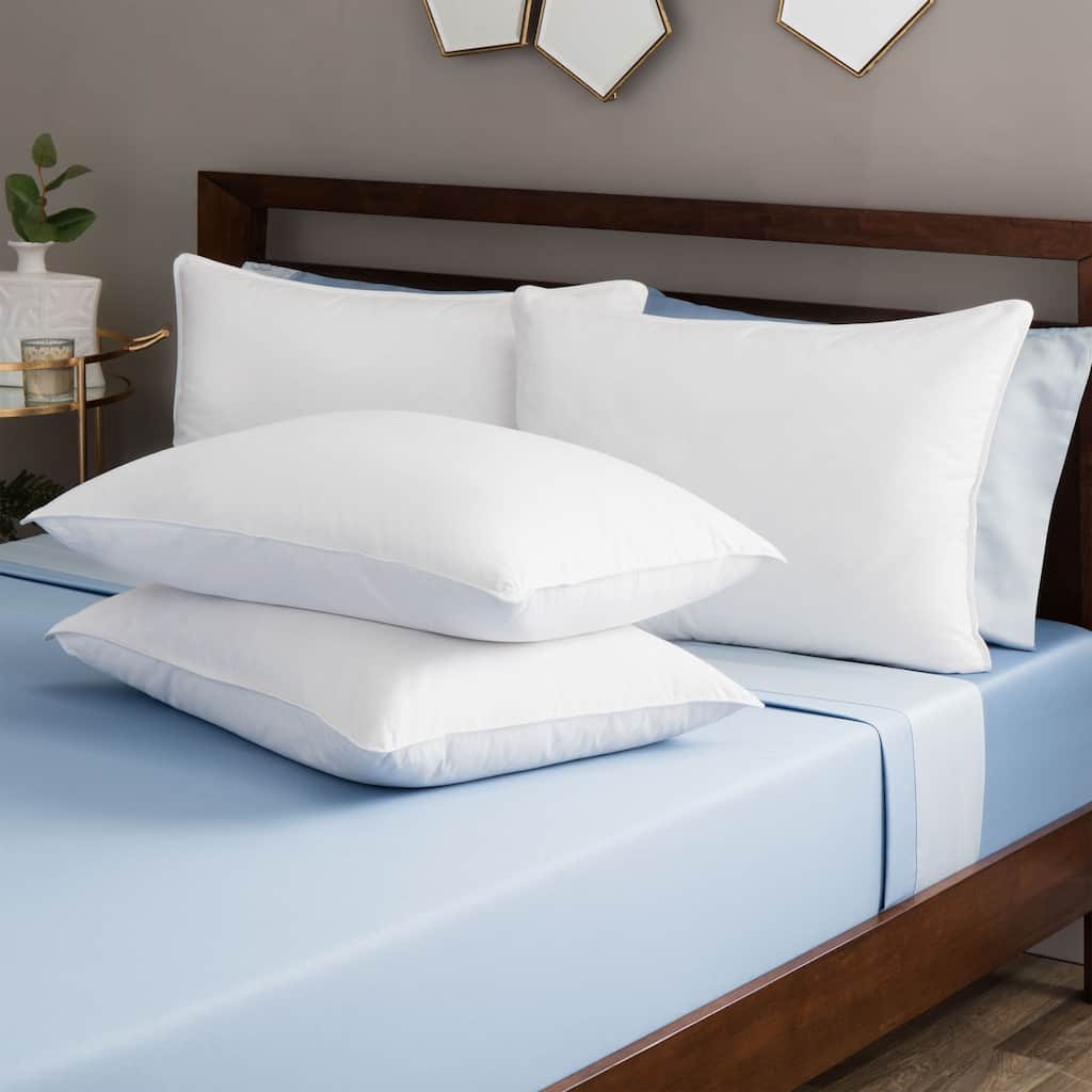 Circle of Down Cotton Pillows (Set of 4)